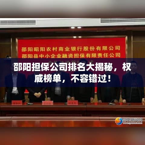 邵陽(yáng)擔(dān)保公司排名大揭秘，權(quán)威榜單，不容錯(cuò)過(guò)！