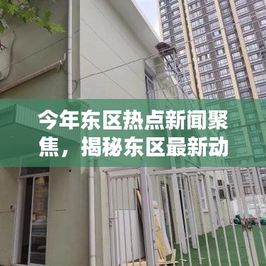 今年東區(qū)熱點新聞聚焦，揭秘東區(qū)最新動態(tài)