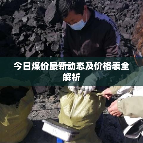 今日煤價(jià)最新動(dòng)態(tài)及價(jià)格表全解析