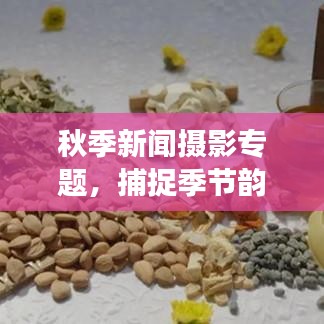 秋季新聞攝影專題，捕捉季節(jié)韻味與時(shí)代脈搏的絕美瞬間
