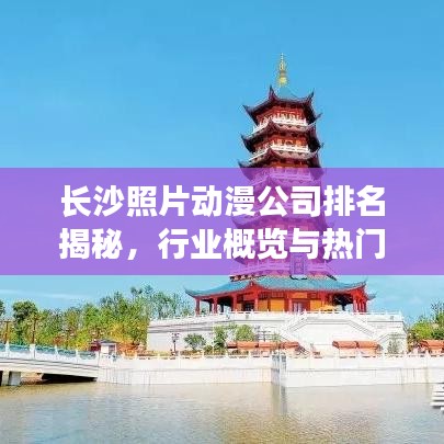 長沙照片動(dòng)漫公司排名揭秘，行業(yè)概覽與熱門機(jī)構(gòu)榜單