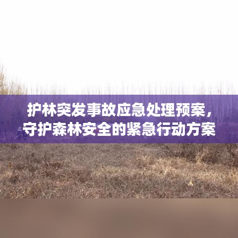 護(hù)林突發(fā)事故應(yīng)急處理預(yù)案，守護(hù)森林安全的緊急行動方案
