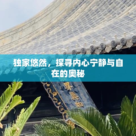 獨(dú)家悠然，探尋內(nèi)心寧?kù)o與自在的奧秘