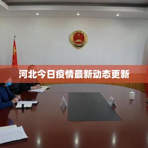 河北今日疫情最新動(dòng)態(tài)更新