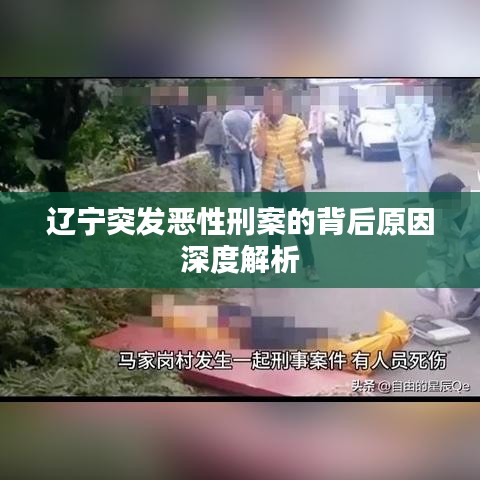 遼寧突發(fā)惡性刑案的背后原因深度解析