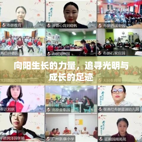 向陽生長(zhǎng)的力量，追尋光明與成長(zhǎng)的足跡