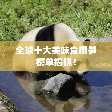 全球十大美味食用筍榜單揭曉！