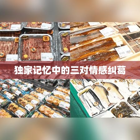 獨(dú)家記憶中的三對(duì)情感糾葛