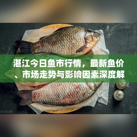湛江今日魚市行情，最新魚價、市場走勢與影響因素深度解析