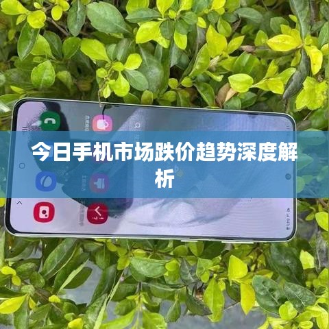 今日手機(jī)市場(chǎng)跌價(jià)趨勢(shì)深度解析