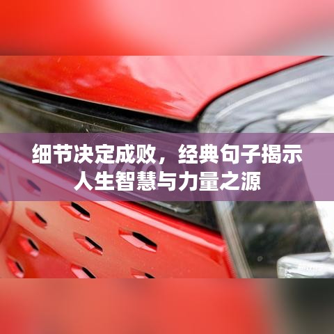 細(xì)節(jié)決定成敗，經(jīng)典句子揭示人生智慧與力量之源