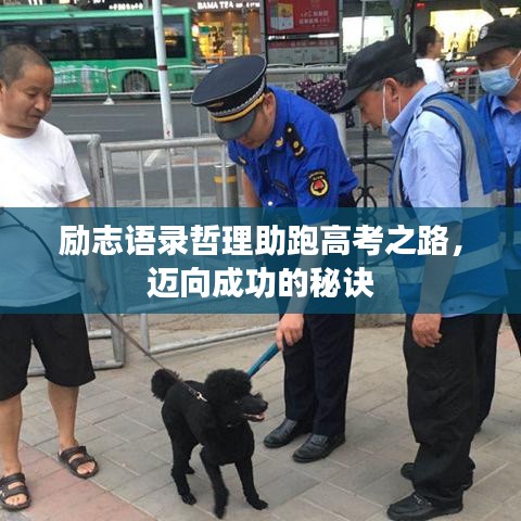 勵(lì)志語(yǔ)錄哲理助跑高考之路，邁向成功的秘訣