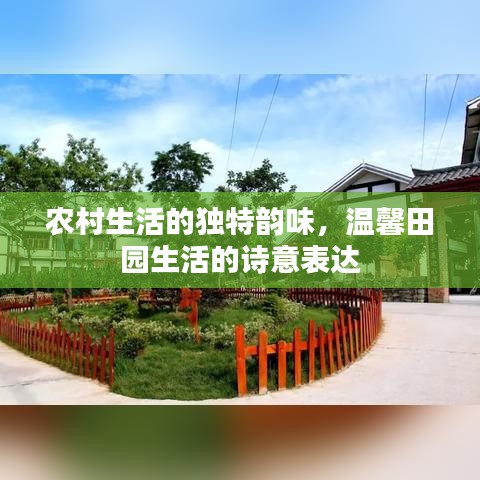 農(nóng)村生活的獨(dú)特韻味，溫馨田園生活的詩(shī)意表達(dá)