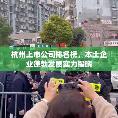 杭州上市公司排名榜，本土企業(yè)蓬勃發(fā)展實力揭曉