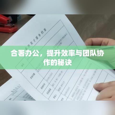 合署辦公，提升效率與團隊協(xié)作的秘訣