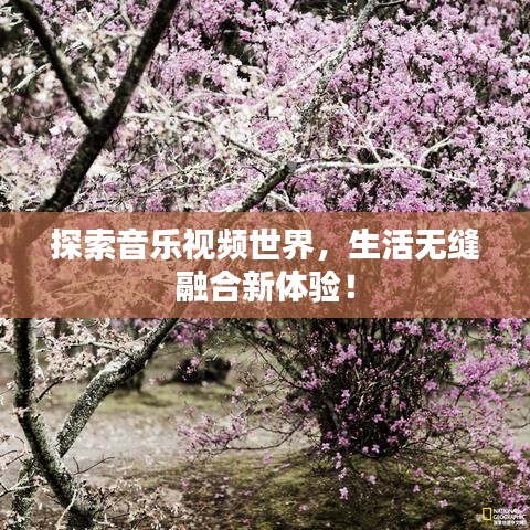 探索音樂視頻世界，生活無縫融合新體驗！