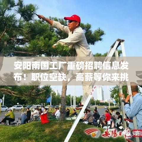 安陽(yáng)南國(guó)工廠重磅招聘信息發(fā)布！職位空缺，高薪等你來(lái)挑戰(zhàn)！