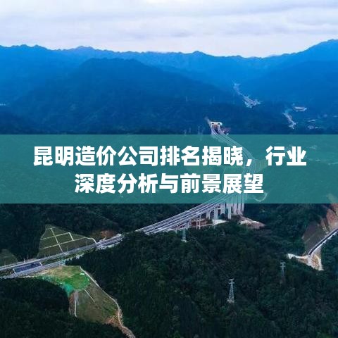 昆明造價(jià)公司排名揭曉，行業(yè)深度分析與前景展望