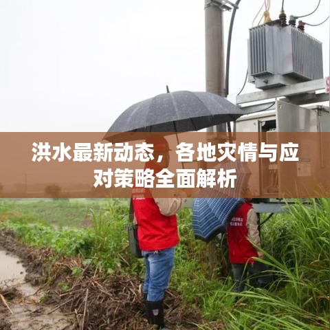 洪水最新動態(tài)，各地災(zāi)情與應(yīng)對策略全面解析