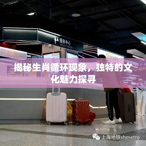 揭秘生肖循環(huán)現(xiàn)象，獨(dú)特的文化魅力探尋