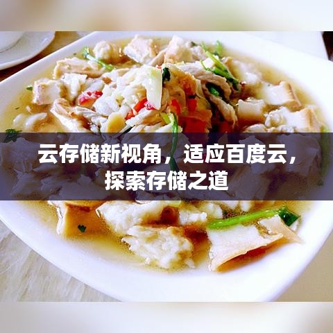 云存儲(chǔ)新視角，適應(yīng)百度云，探索存儲(chǔ)之道