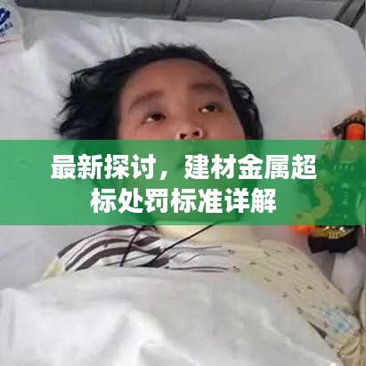 最新探討，建材金屬超標(biāo)處罰標(biāo)準(zhǔn)詳解