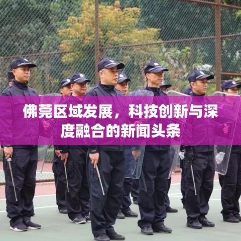 佛莞區(qū)域發(fā)展，科技創(chuàng)新與深度融合的新聞?lì)^條