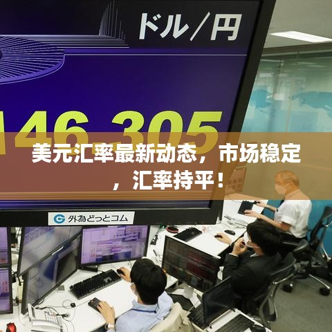 美元匯率最新動態(tài)，市場穩(wěn)定，匯率持平！