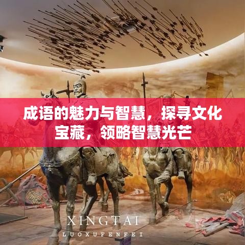 成語的魅力與智慧，探尋文化寶藏，領(lǐng)略智慧光芒