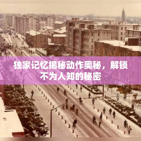 獨家記憶揭秘動作奧秘，解鎖不為人知的秘密