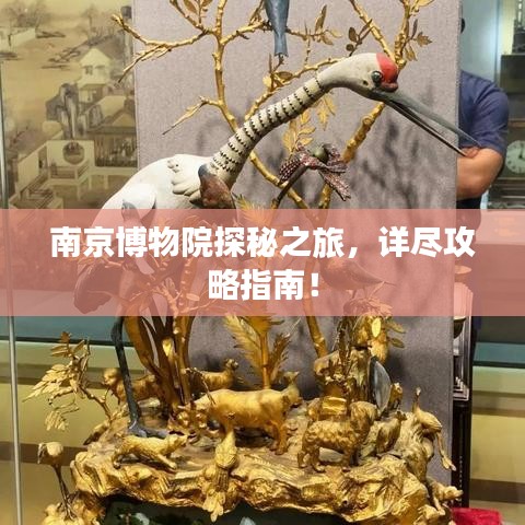 南京博物院探秘之旅，詳盡攻略指南！