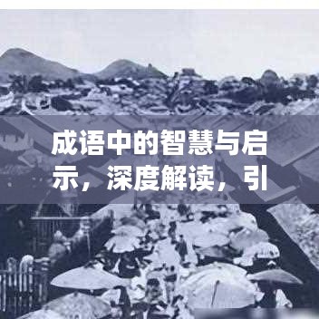 成語中的智慧與啟示，深度解讀，引人熱議