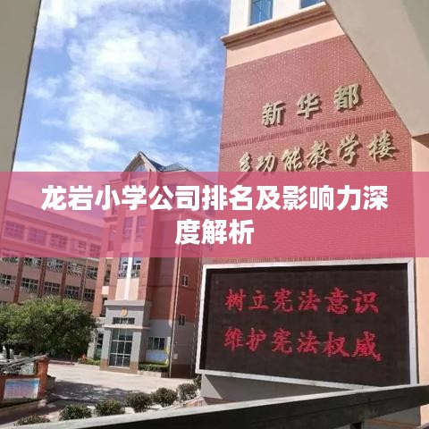龍巖小學(xué)公司排名及影響力深度解析