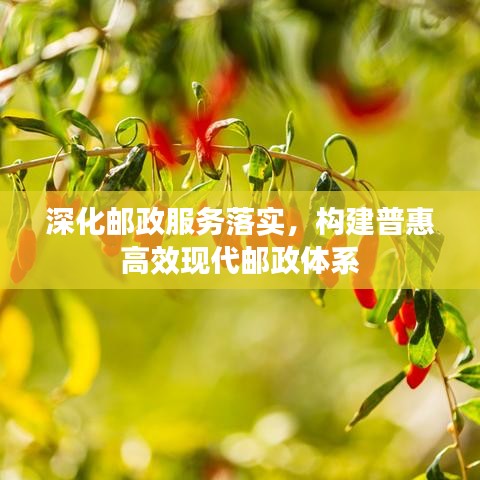 深化郵政服務(wù)落實(shí)，構(gòu)建普惠高效現(xiàn)代郵政體系