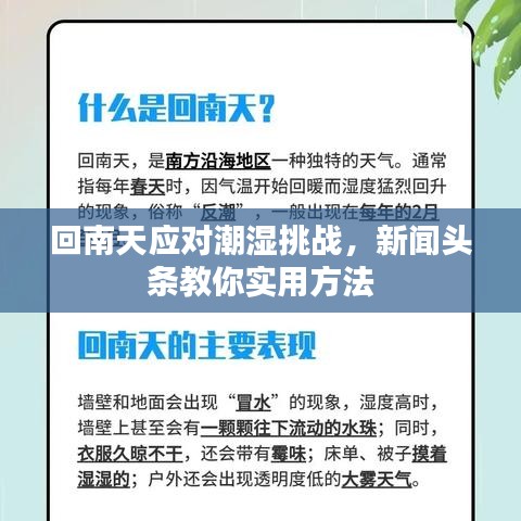 飛揚(yáng)跋扈