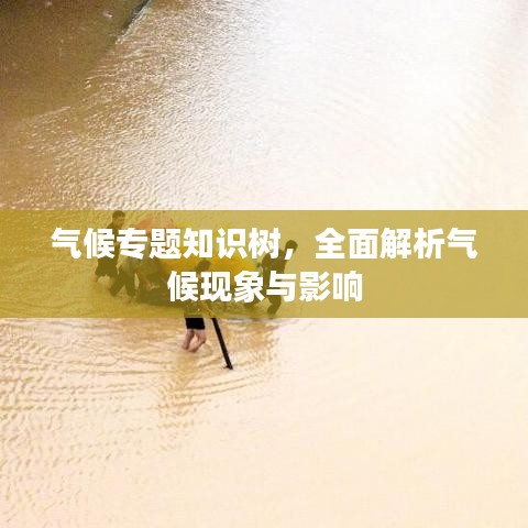 氣候專題知識樹，全面解析氣候現(xiàn)象與影響