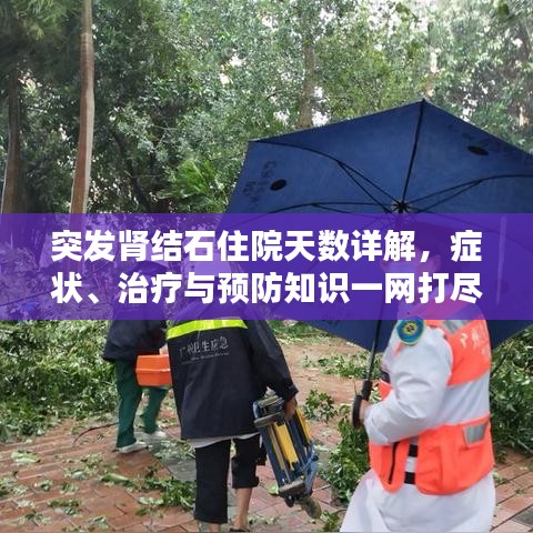 突發(fā)腎結(jié)石住院天數(shù)詳解，癥狀、治療與預(yù)防知識(shí)一網(wǎng)打盡