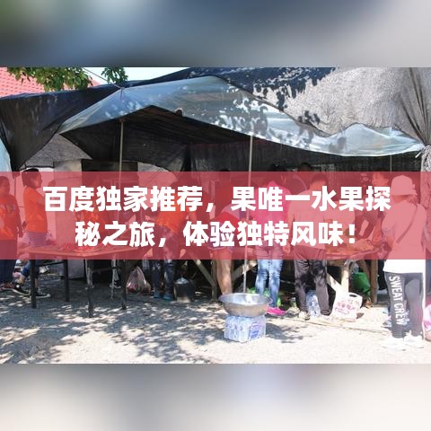 百度獨家推薦，果唯一水果探秘之旅，體驗獨特風(fēng)味！