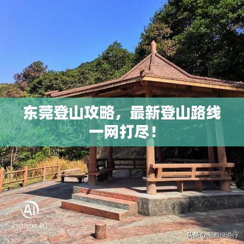 東莞登山攻略，最新登山路線一網(wǎng)打盡！