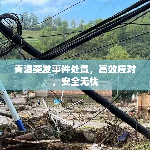 青海突發(fā)事件處置，高效應(yīng)對(duì)，安全無(wú)憂