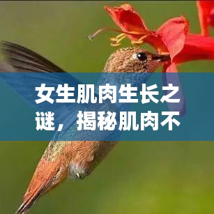 女生肌肉生長之謎，揭秘肌肉不斷增長的秘密！