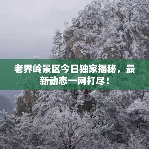 老界嶺景區(qū)今日獨(dú)家揭秘，最新動(dòng)態(tài)一網(wǎng)打盡！
