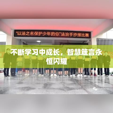 不斷學(xué)習(xí)中成長，智慧箴言永恒閃耀