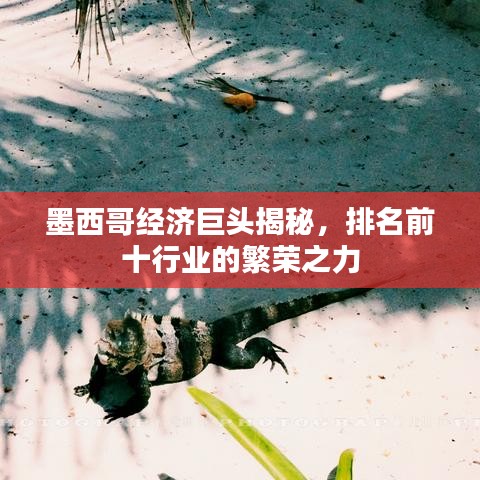 墨西哥經(jīng)濟(jì)巨頭揭秘，排名前十行業(yè)的繁榮之力