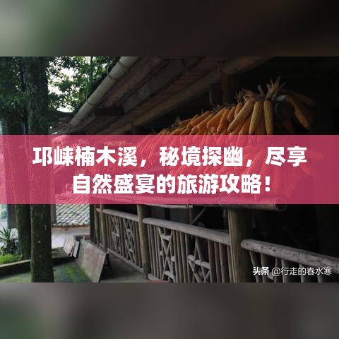 邛崍楠木溪，秘境探幽，盡享自然盛宴的旅游攻略！