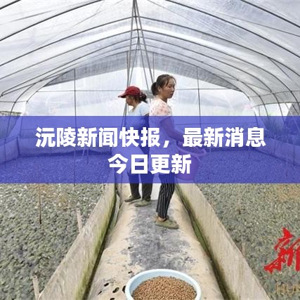 沅陵新聞快報，最新消息今日更新