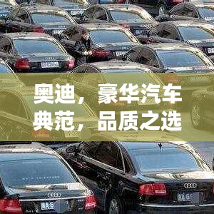 奧迪，豪華汽車(chē)典范，品質(zhì)之選！