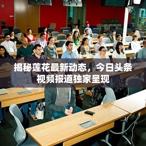 揭秘蓮花最新動態(tài)，今日頭條視頻報道獨家呈現(xiàn)