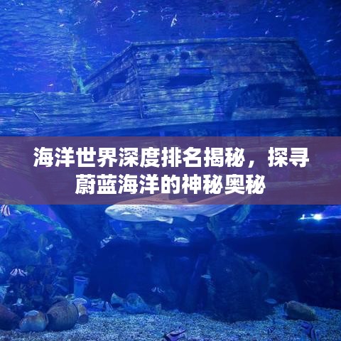 海洋世界深度排名揭秘，探尋蔚藍(lán)海洋的神秘奧秘