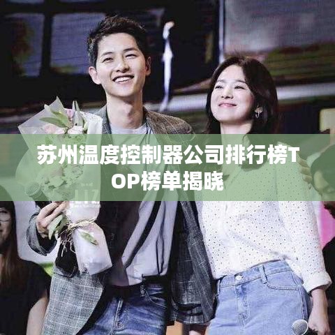 蘇州溫度控制器公司排行榜TOP榜單揭曉